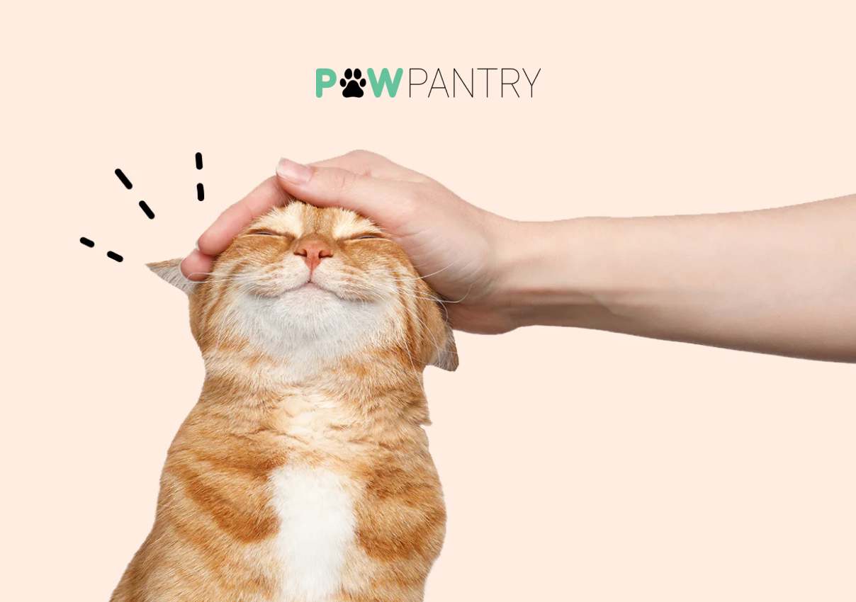 Paw Pantry